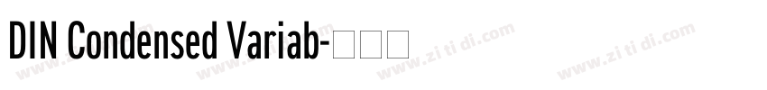DIN Condensed Variab字体转换